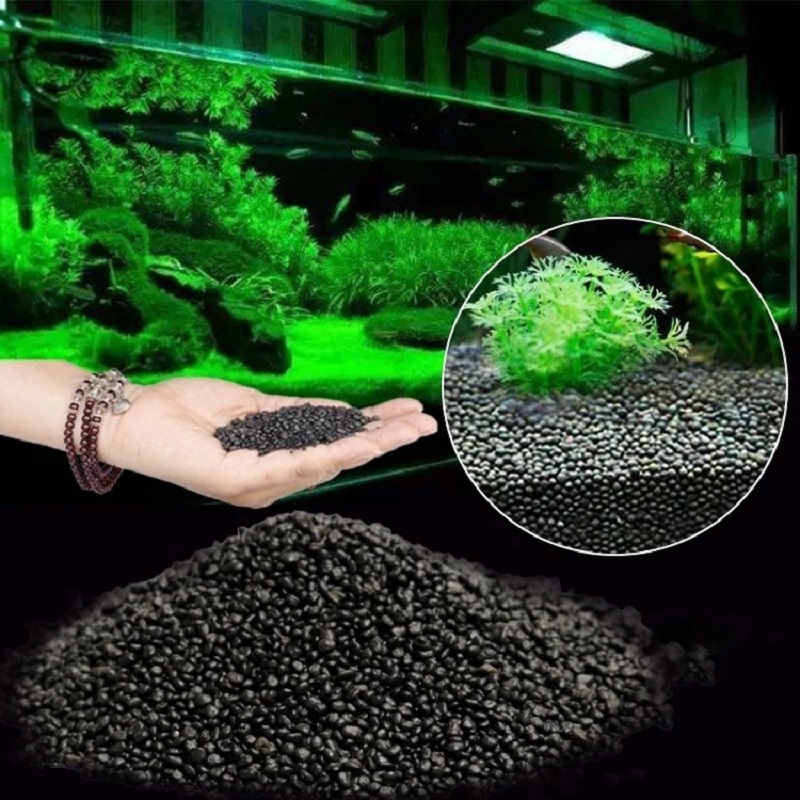 Aquarium Planted Seeds - Tanque de peces, agua, hierba, barro,