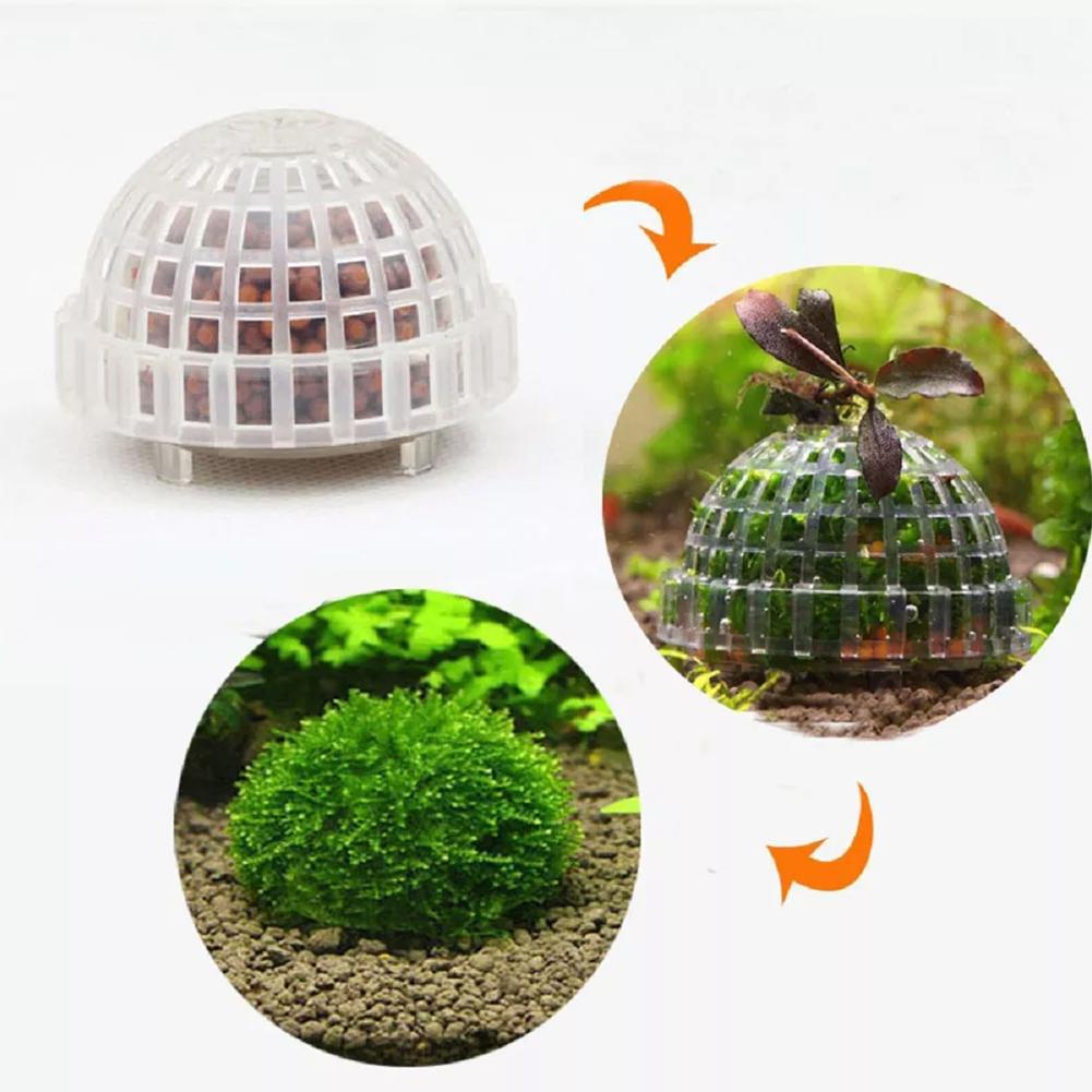 Planted Aquarium Models - Soportes de bolas de musgo para
