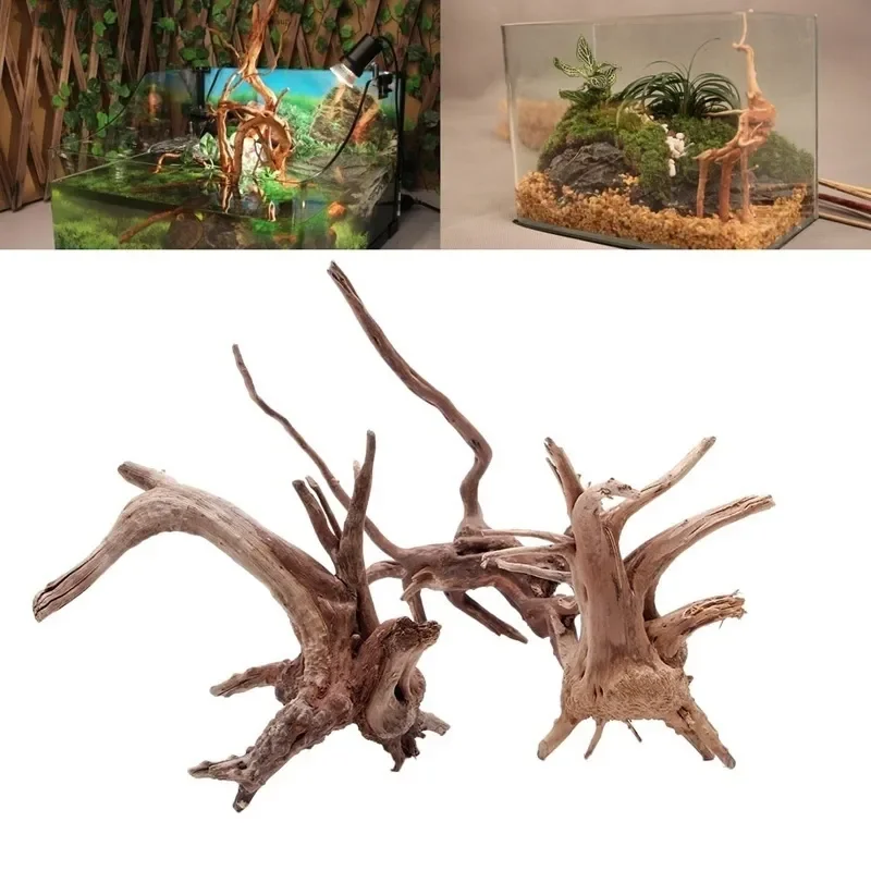 Planted Aquarium With Driftwood - Tronco de árbol Natural de madera