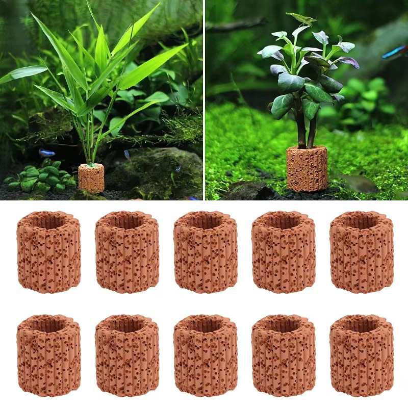 Aquarium Planted Seeds - Anillo fijo para plantas acuáticas, para