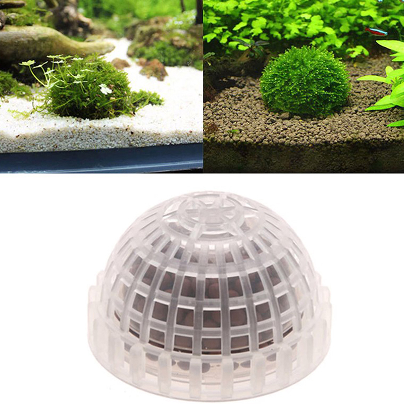 Planted Aquarium Models - Suministros acuáticos para mascotas, decoraciones para