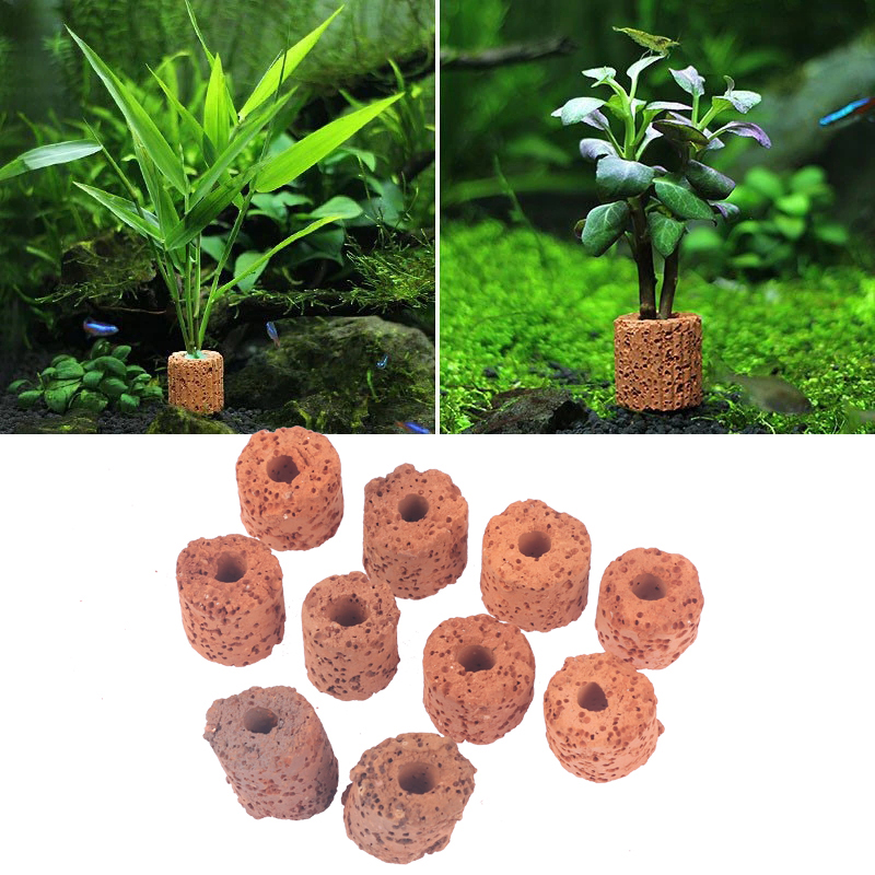Aquarium Planted Seeds - Anillo de fijación para plantas de