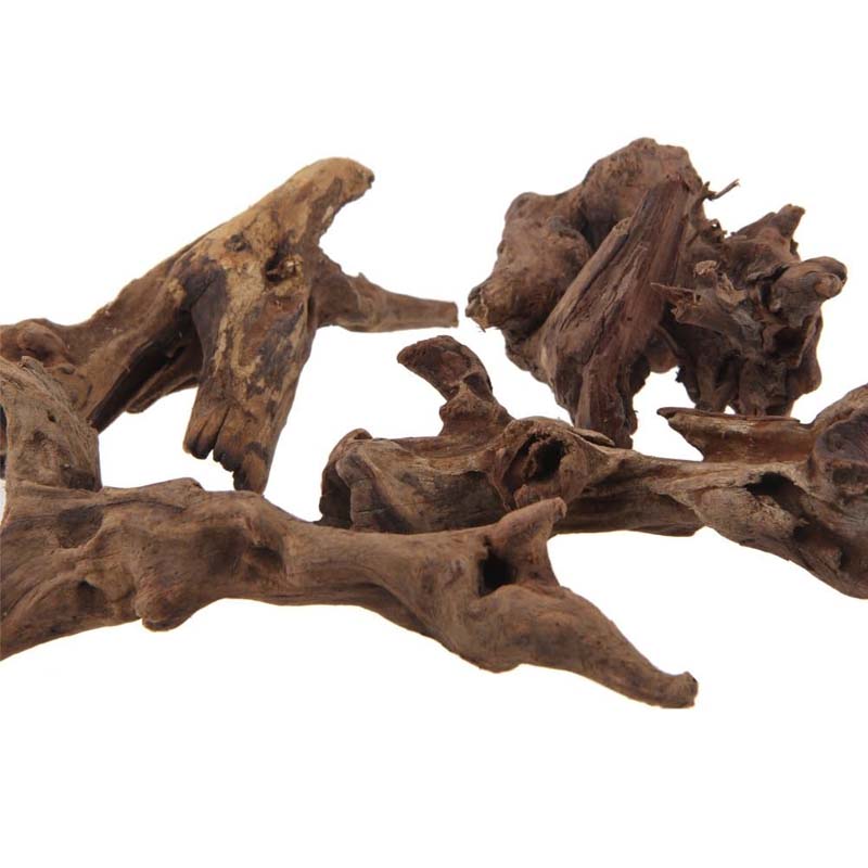 Planted Aquarium With Driftwood - 1 unidad de acuario Natural hundible,