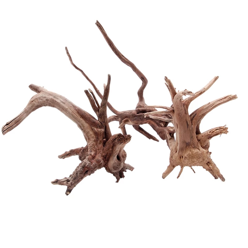 Planted Aquarium With Driftwood - Tronco de madera natural, madera flotante,