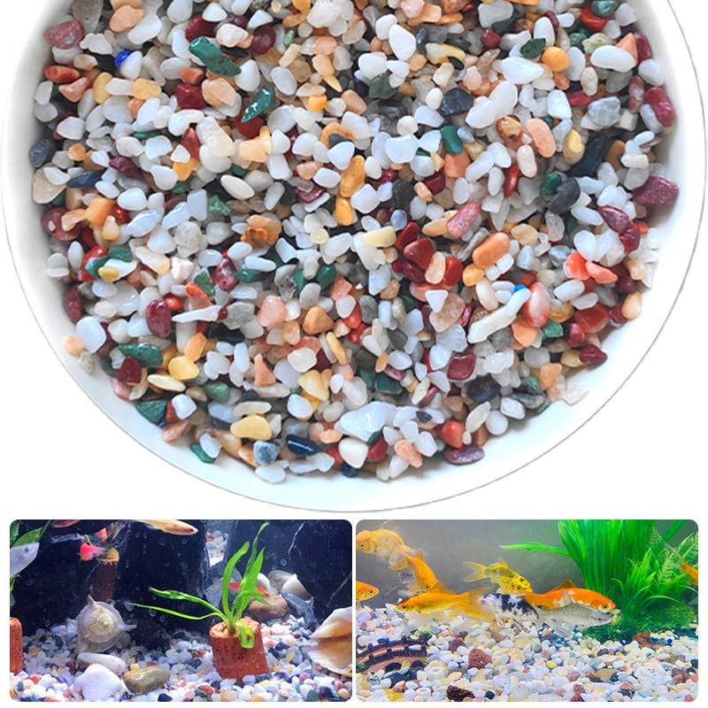 Planted Aquarium With Sand - Piedra de grava natural, 200 ~