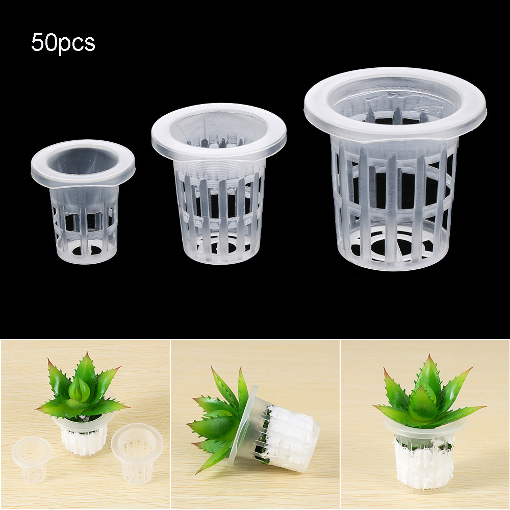 Aquarium Planted Seeds - Suministros de jardín para plantar acuario,