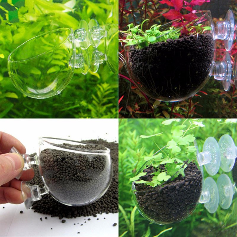 Aquarium Planted Seeds - Maceta colgante para acuario, vaso cilíndrico