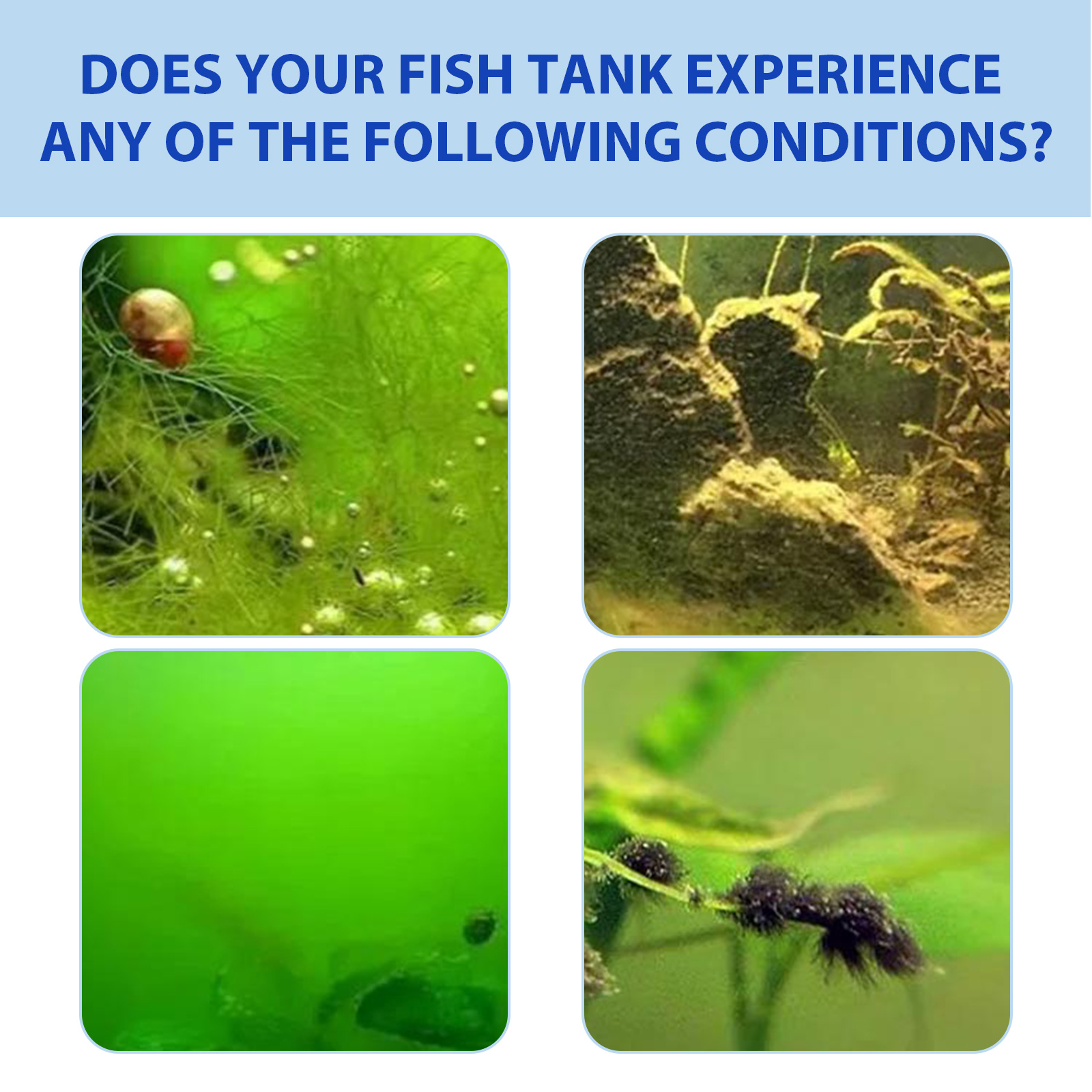 Polvo biológico para control d - Planted Aquarium Algae Control reseña y precio