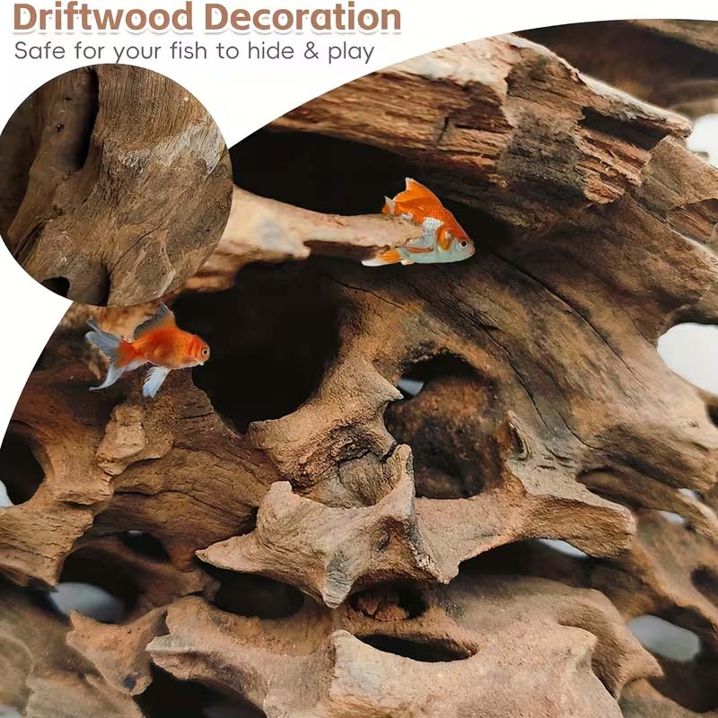 Decoración de acuario de mader - Aquarium Planted Seeds reseña y precio
