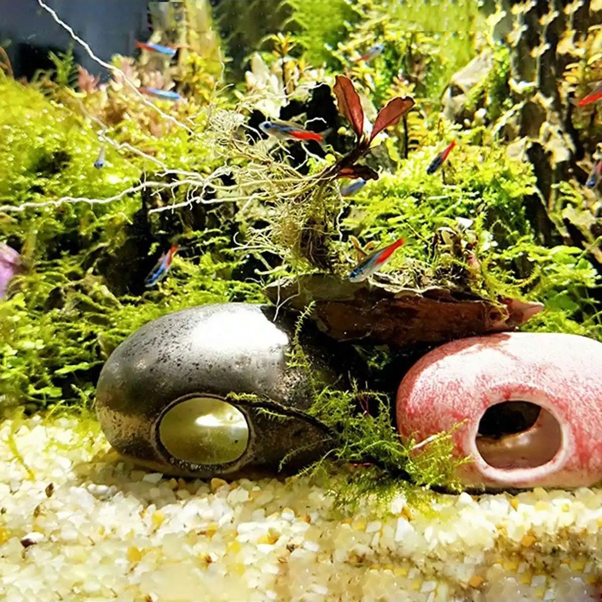 1 unidad-250g de cristales nat - Planted Aquarium With Sand reseña y precio