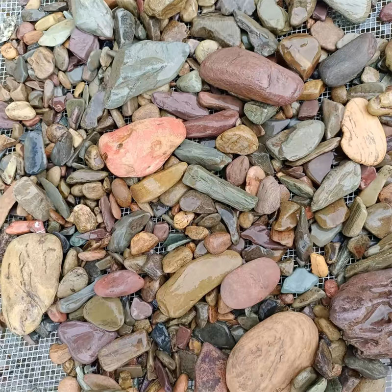 Fondo de pecera de 500g, piedr - Planted Aquarium With Sand reseña y precio