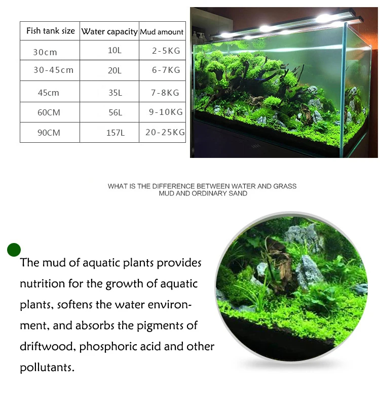 Tanque de peces, agua, hierba, - Aquarium Planted Seeds reseña y precio