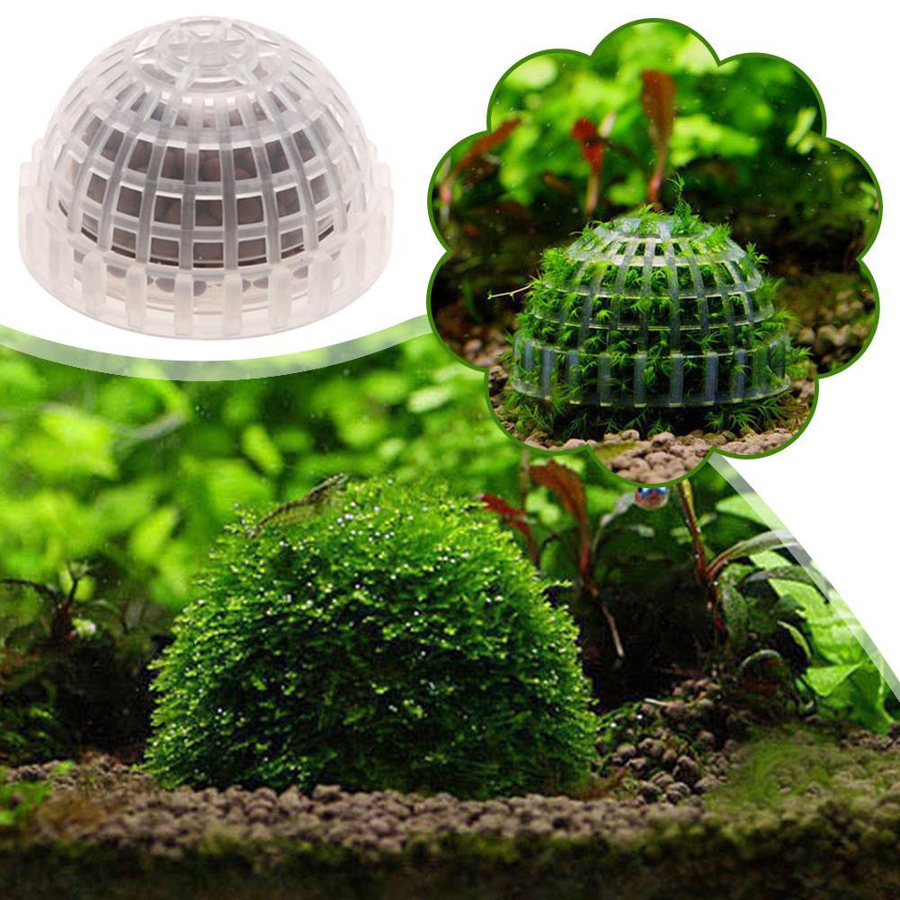 Soportes de bolas de musgo par - Planted Aquarium Models reseña y precio