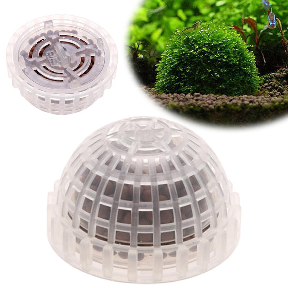 Soportes de bolas de musgo par - Planted Aquarium Models reseña y precio