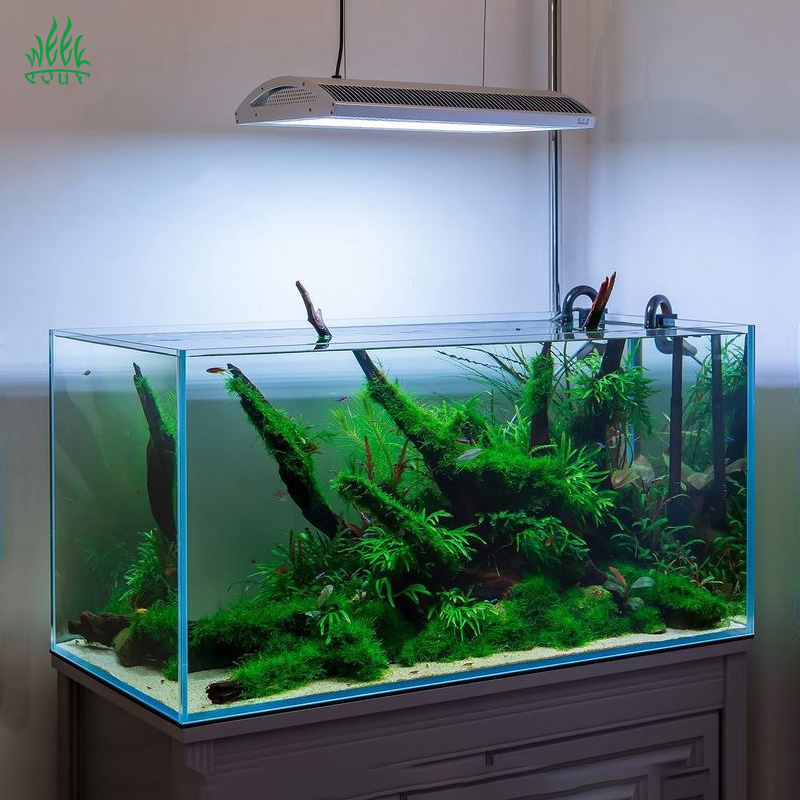 Lámpara LED para acuario Week  - Planted Aquarium Aquascape reseña y precio