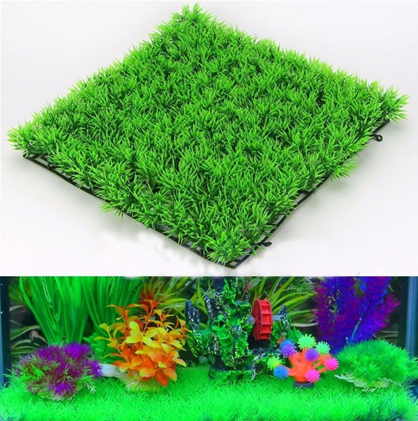 Hierba verde Artificial, céspe - Aquarium Planted Seeds reseña y precio