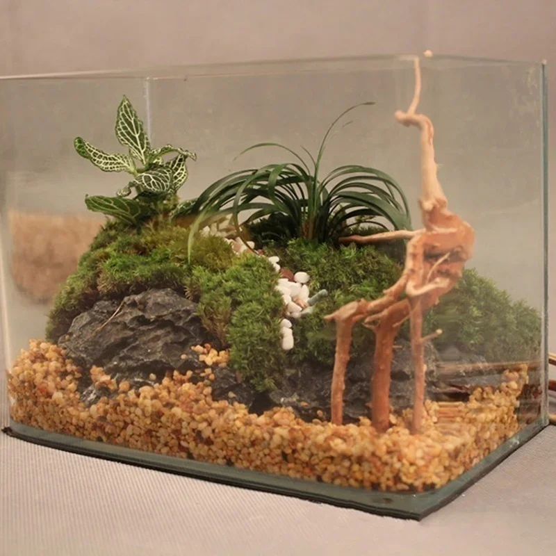 Tronco de árbol Natural de mad - Planted Aquarium With Driftwood reseña y precio