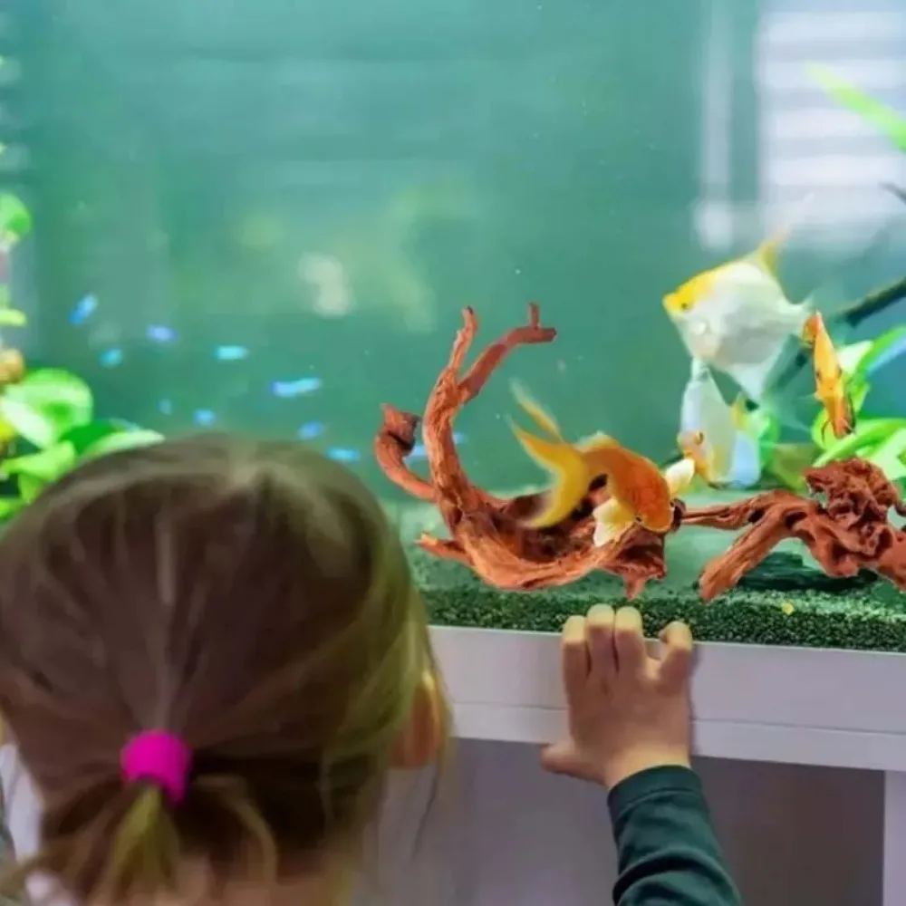 Nuevo Tronco de Árbol Natural  - Planted Aquarium With Driftwood reseña y precio