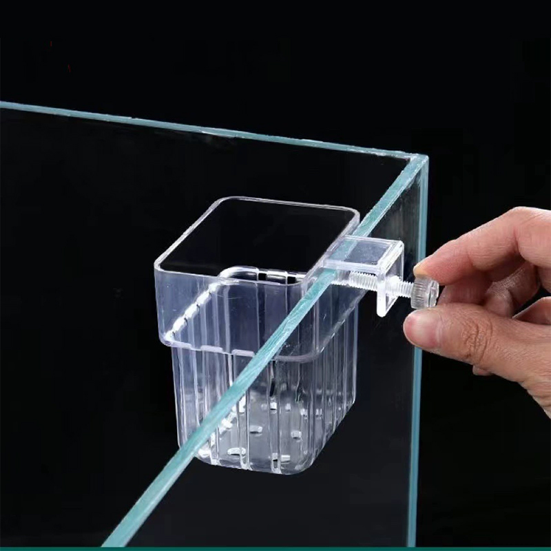 Soporte Transparente para Plan - Planted Aquarium Aquascape reseña y precio