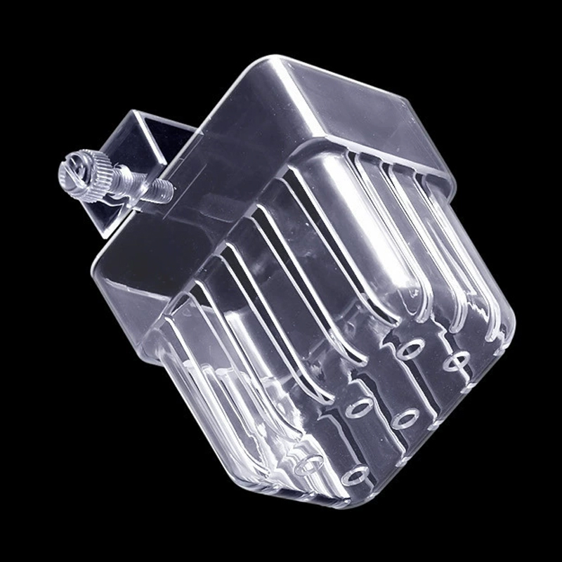 Soporte Transparente para Plan - Planted Aquarium Aquascape reseña y precio