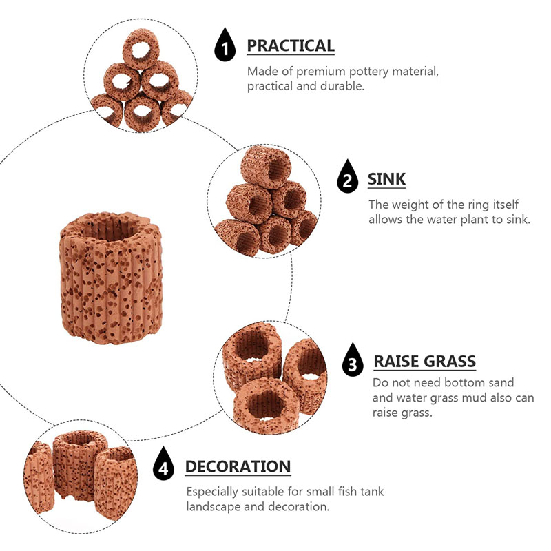 Anillo fijo para plantas acuát - Aquarium Planted Seeds reseña y precio
