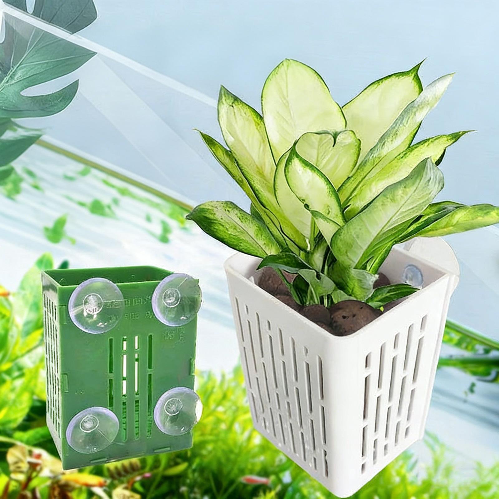 5 unidades de soportes para pl - Planted Aquarium Aquascape reseña y precio