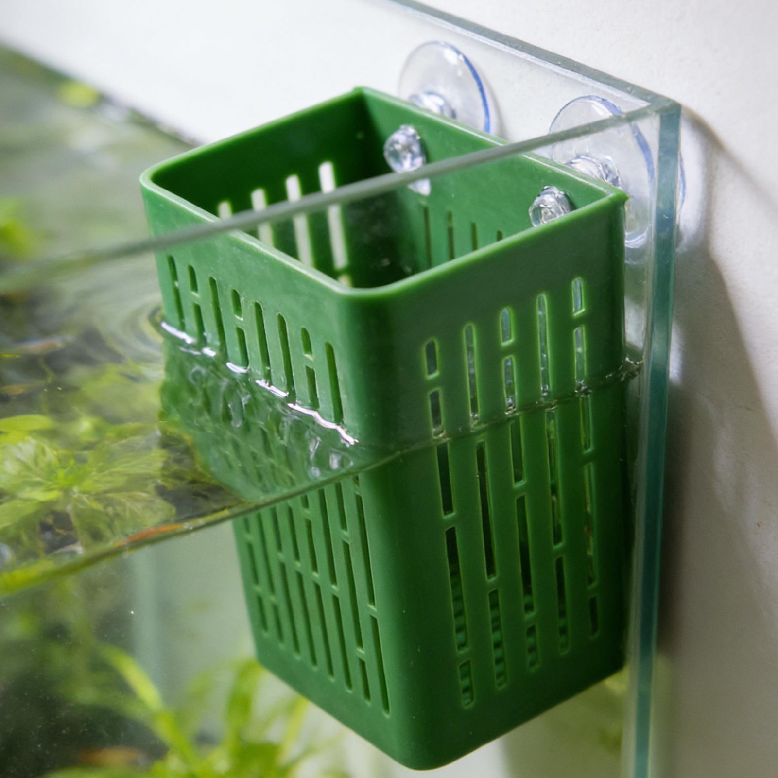 5 unidades de soportes para pl - Planted Aquarium Aquascape reseña y precio