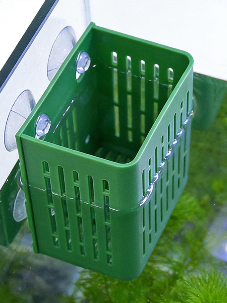 5 unidades de soportes para pl - Planted Aquarium Aquascape reseña y precio
