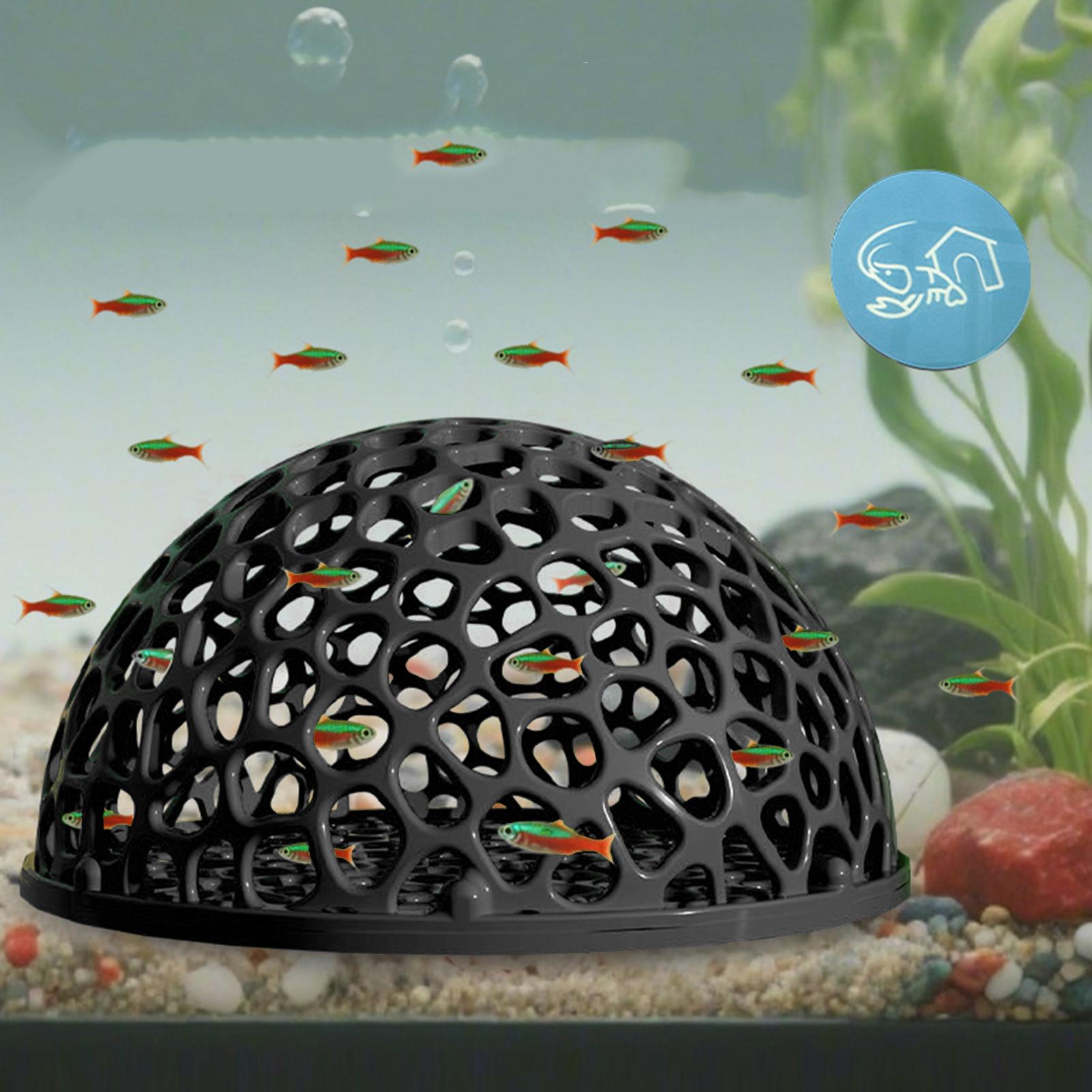Refugio de cueva oculta para a - Aquarium Planted Seeds reseña y precio