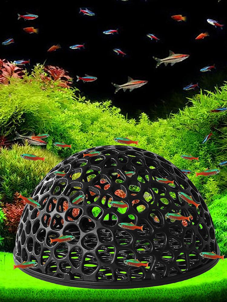 Refugio de cueva oculta para a - Aquarium Planted Seeds reseña y precio
