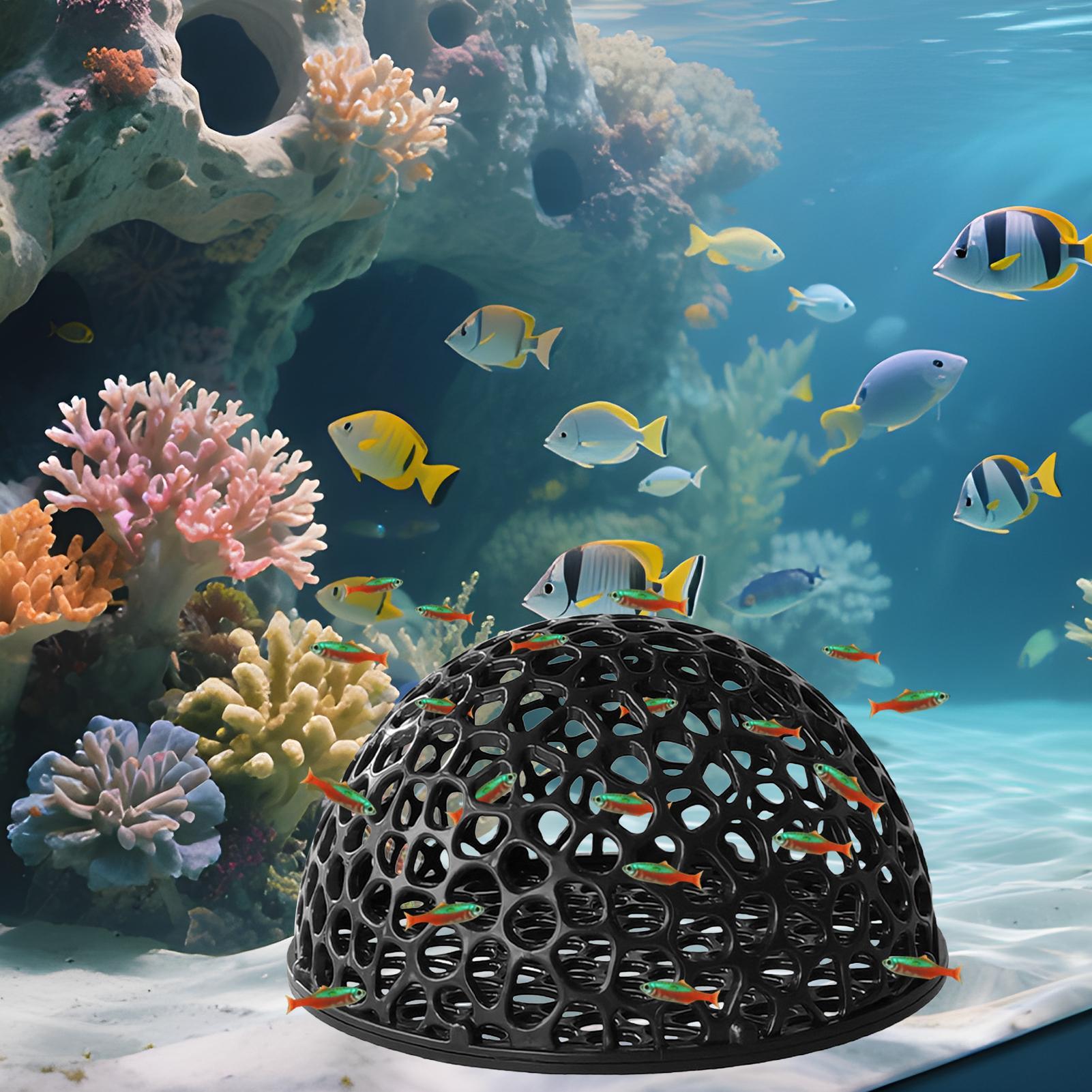 Refugio de cueva oculta para a - Aquarium Planted Seeds reseña y precio