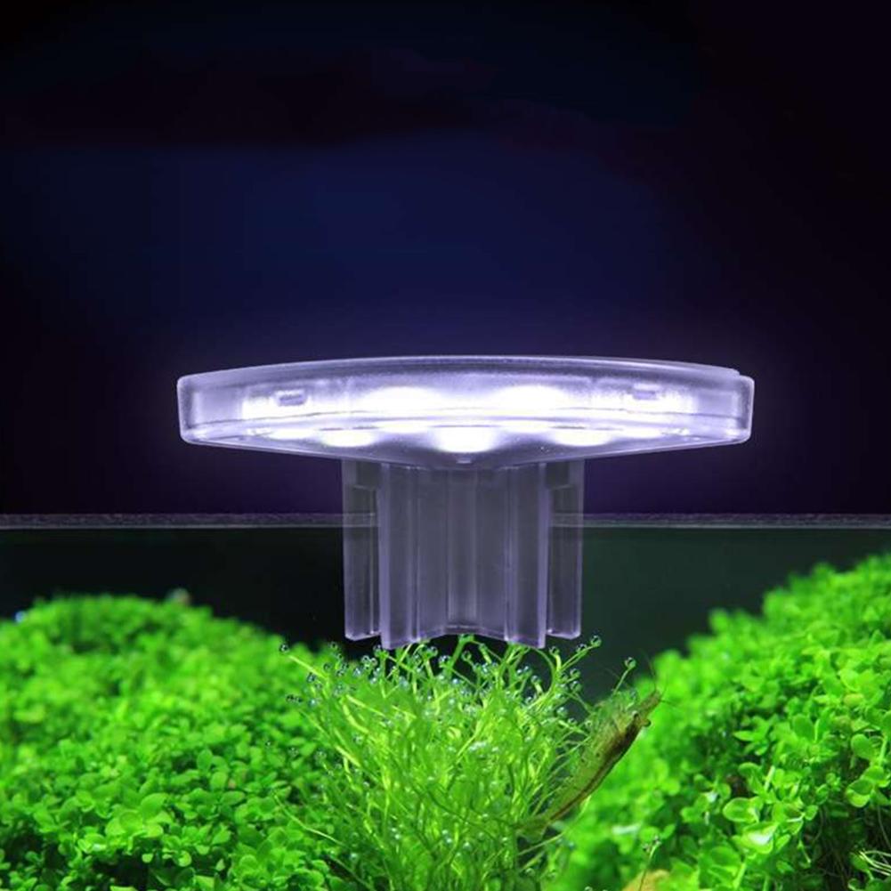 Lámpara LED para cultivo de pl - Aquarium Plant Easy To Grow reseña y precio