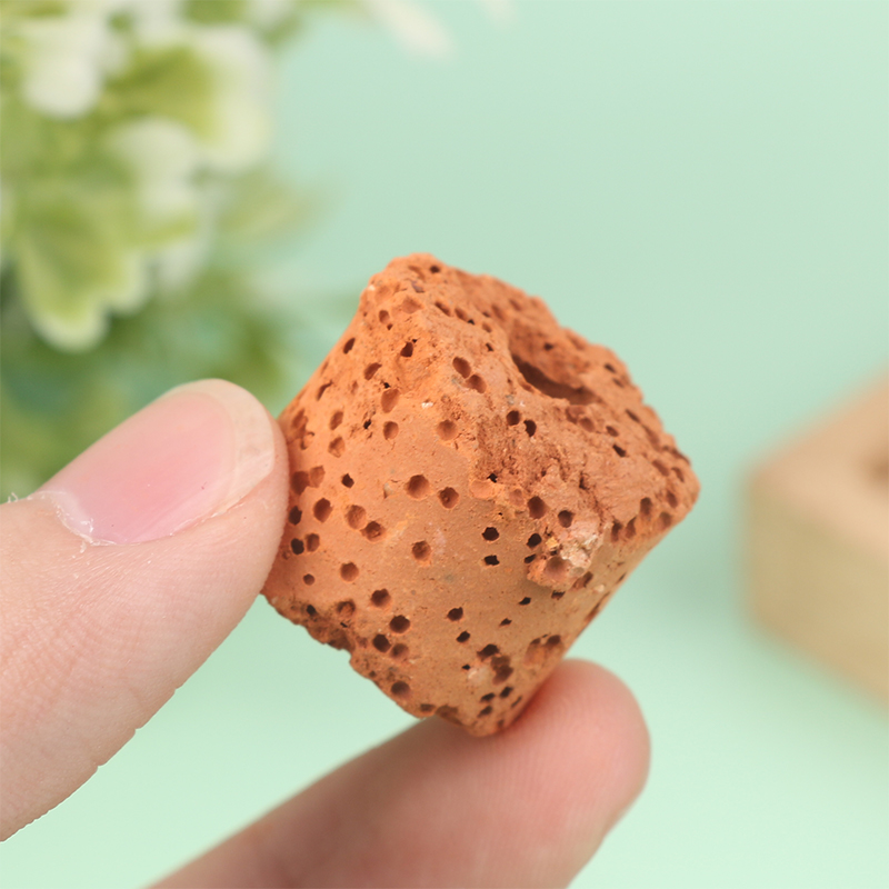 Anillo de fijación para planta - Aquarium Planted Seeds reseña y precio