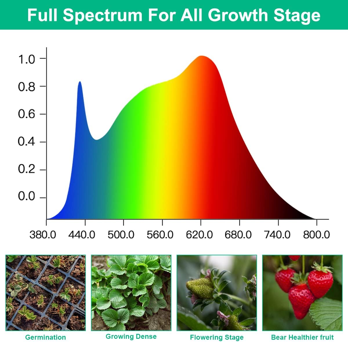 Lámparas LED de cultivo para p - Aquarium Planted Seeds reseña y precio