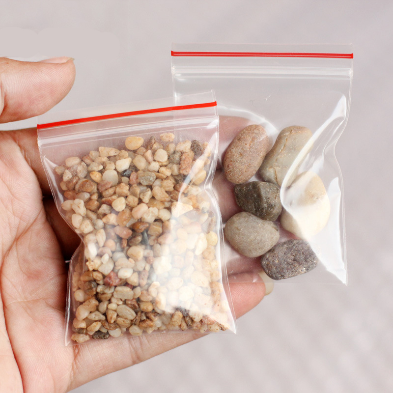 Micropaisaje decoración de jar - Planted Aquarium With Sand reseña y precio