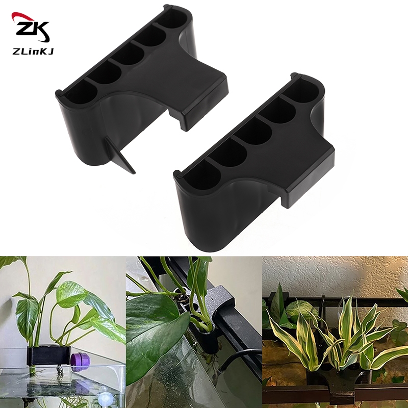 Soporte de plástico para plant - Planted Aquarium Aquascape reseña y precio