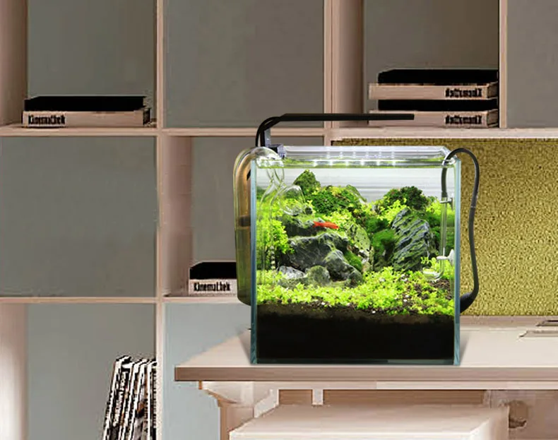 Chihiros Serie C Planta estilo - Aquarium Plant Growing reseña y precio