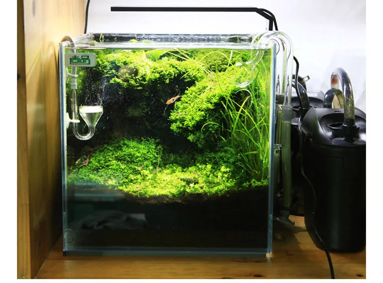 Chihiros Serie C Planta estilo - Aquarium Plant Growing reseña y precio