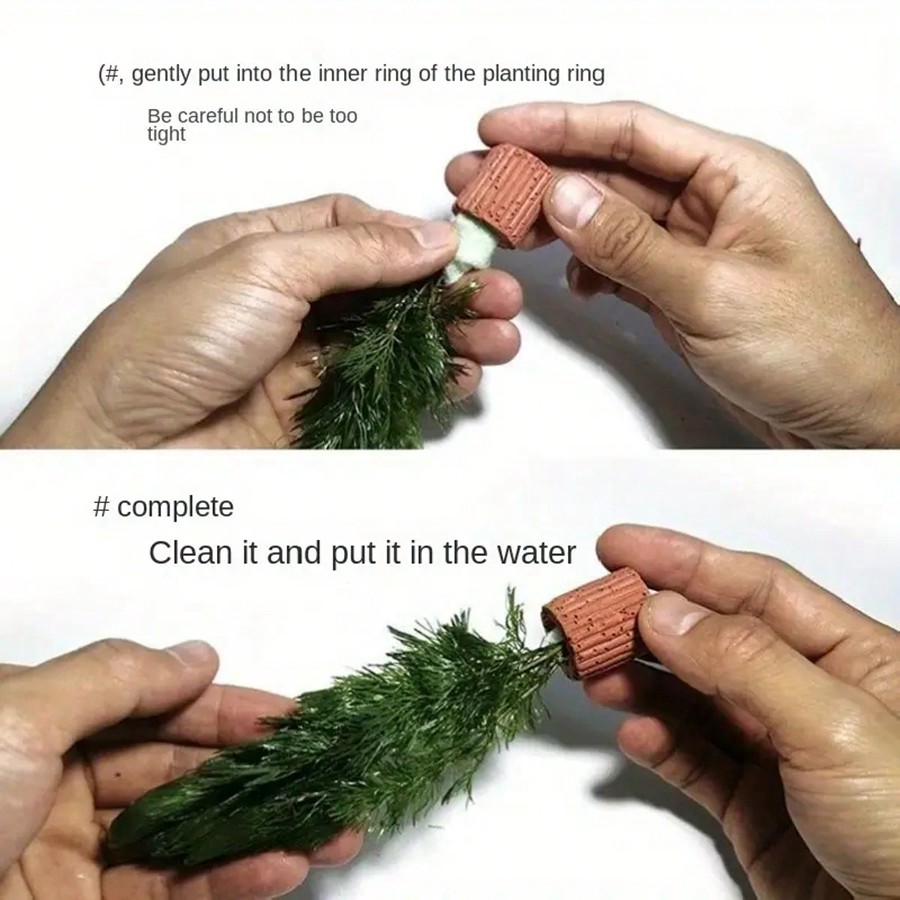 Anillos de fijación de plantas - Planted Aquarium Aquascape reseña y precio