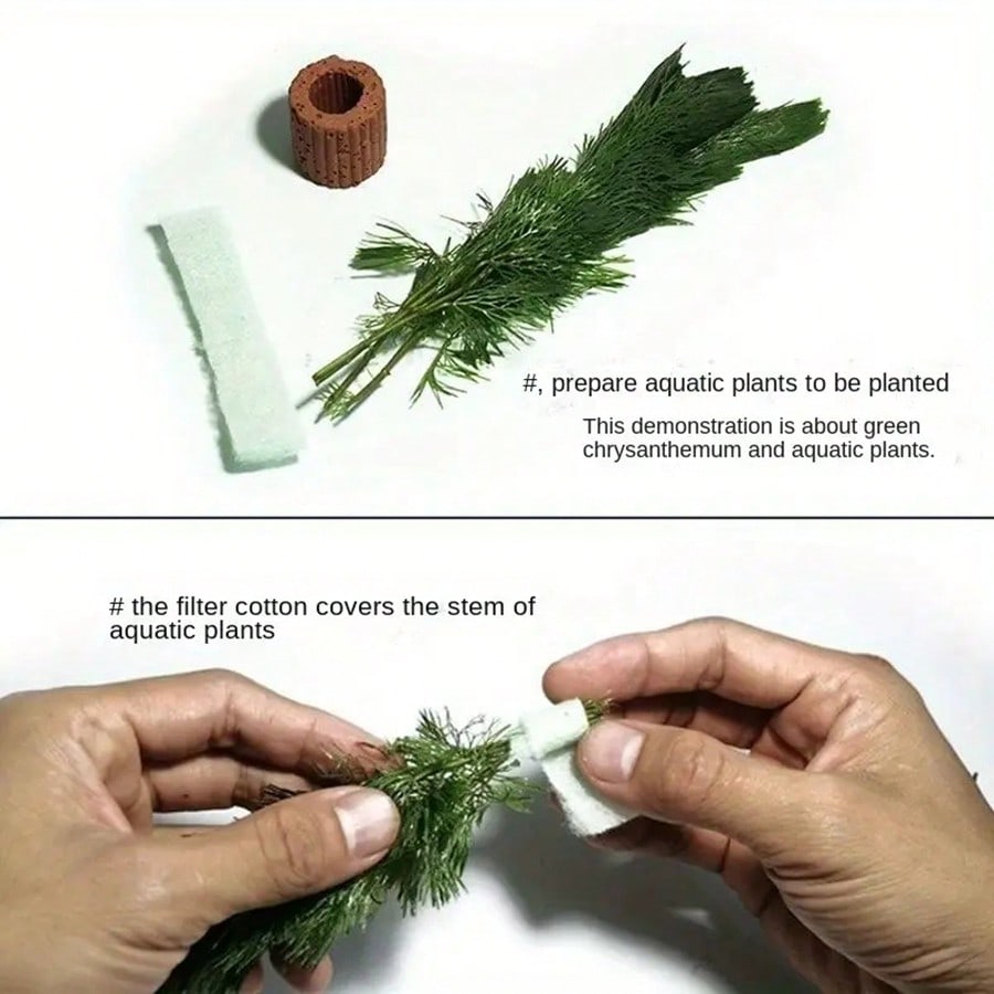 Anillos de fijación de plantas - Planted Aquarium Aquascape reseña y precio