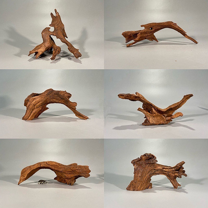 Acuario de madera flotante Nat - Planted Aquarium With Driftwood reseña y precio