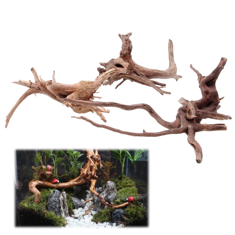 Tronco de madera natural, made - Planted Aquarium With Driftwood reseña y precio