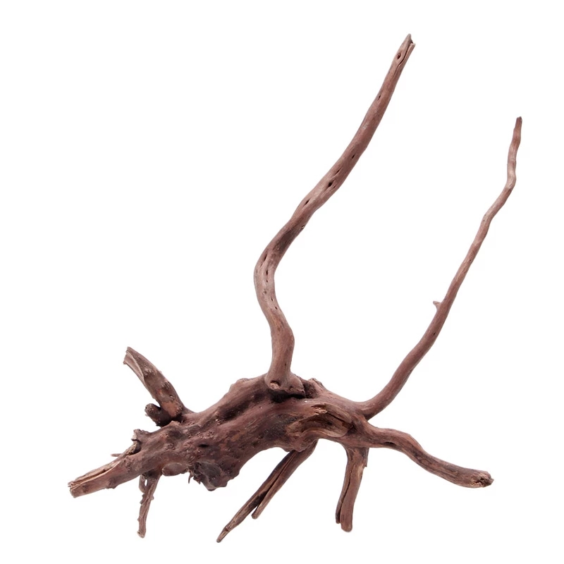 Tronco de madera natural, made - Planted Aquarium With Driftwood reseña y precio