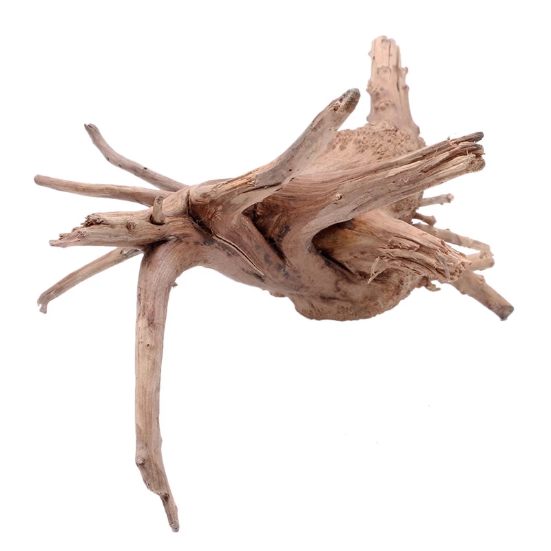 Tronco de madera natural, made - Planted Aquarium With Driftwood reseña y precio