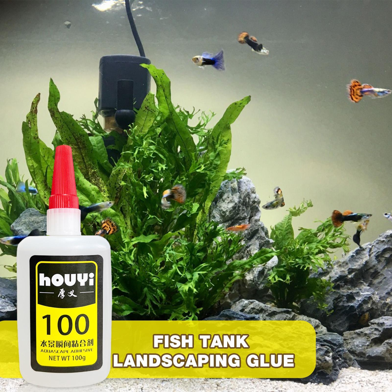 Pegamento instantáneo transpar - Planted Aquarium Aquascape reseña y precio