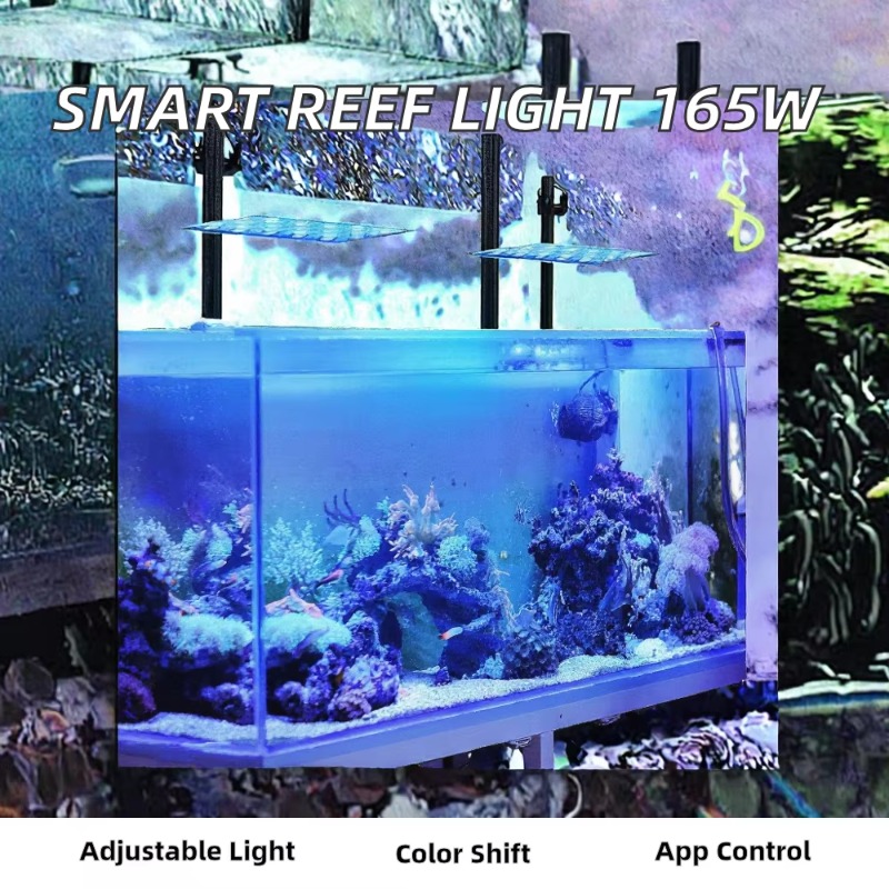 Lámpara LED para Acuario de 16 - Planted Aquarium Models reseña y precio