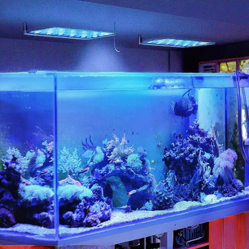Lámpara LED para Acuario de 16 - Planted Aquarium Models reseña y precio