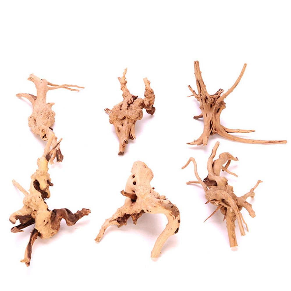 Madera N1N paisajismo acuario  - Planted Aquarium With Driftwood reseña y precio
