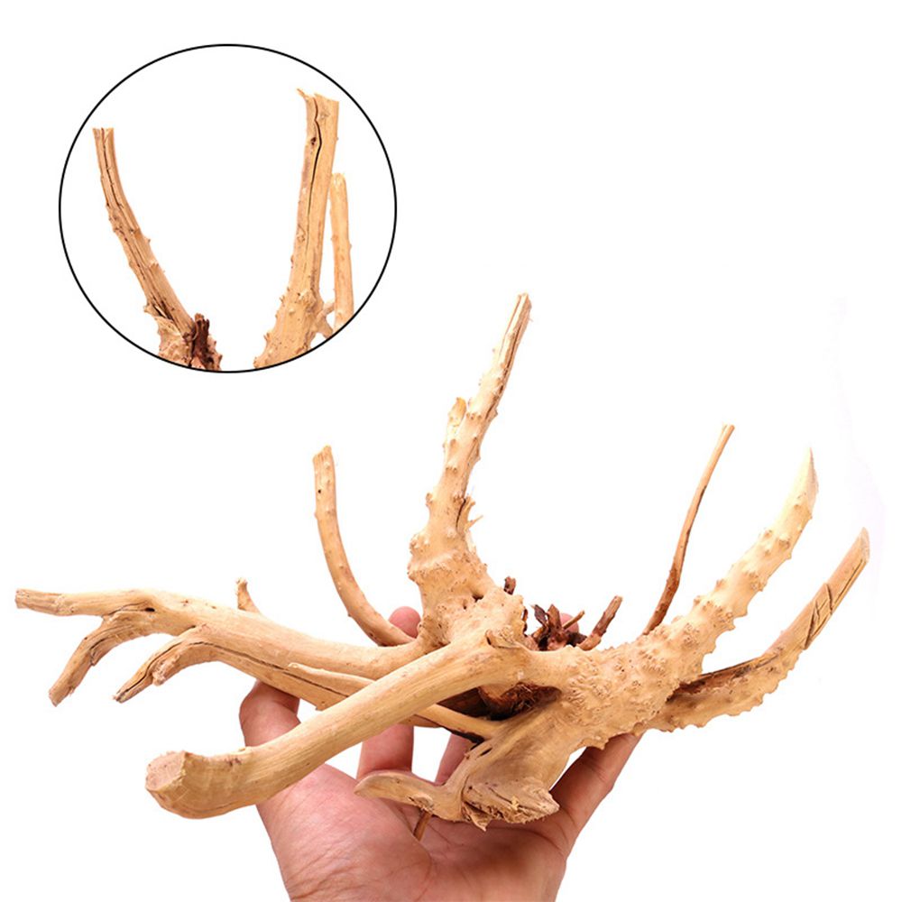 Madera N1N paisajismo acuario  - Planted Aquarium With Driftwood reseña y precio