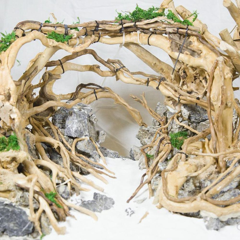 Madera N1N paisajismo acuario  - Planted Aquarium With Driftwood reseña y precio